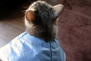20140123_010.jpg