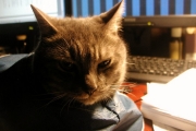 20140123_036.jpg