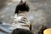 20140130_352.jpg