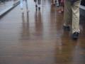 20120814I伊勢神宮・鳥羽 13
