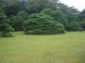 20120814I伊勢神宮・鳥羽 16