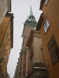 IMG_3599.jpg
