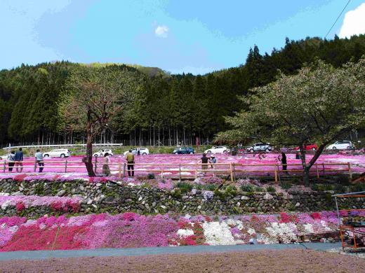 縮小画像P5050211