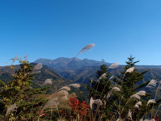 PA211182-縮小