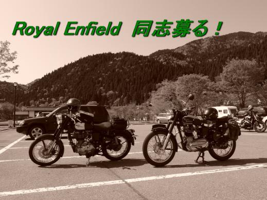 enfi 同志