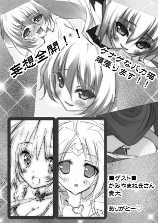 宣伝用