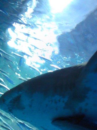 Picture122412_160549.jpg