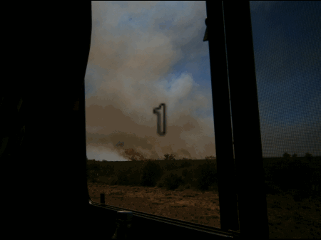 8916.gif
