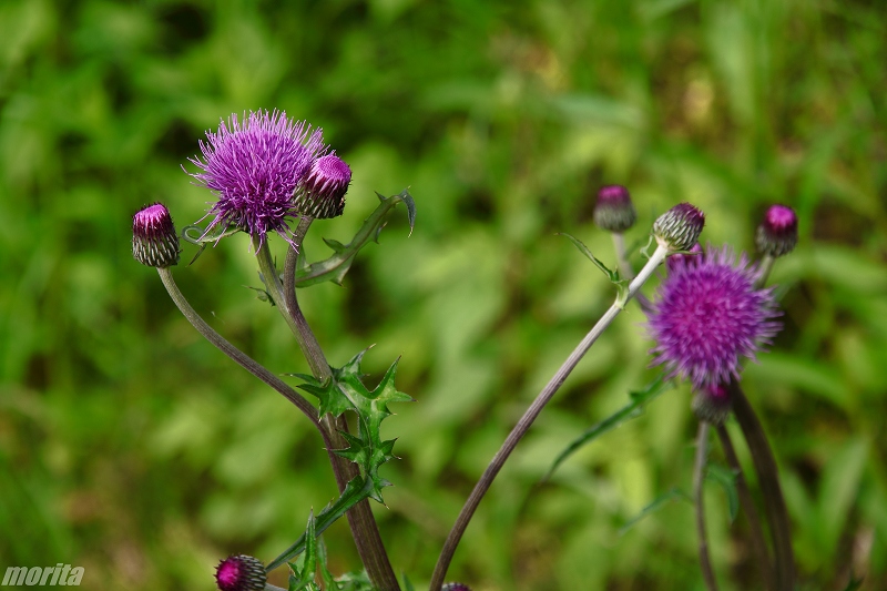 120520-4.jpg