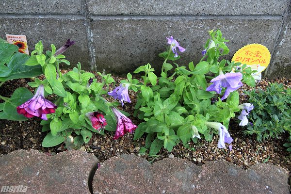 120708-3.jpg