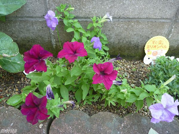 120728-3.jpg