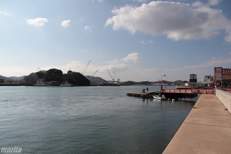 IMG_1474.jpg