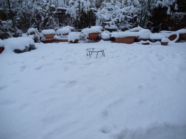 大雪の朝