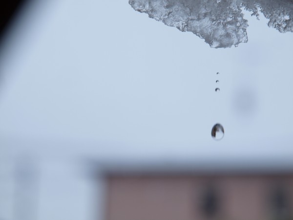 大雪の朝