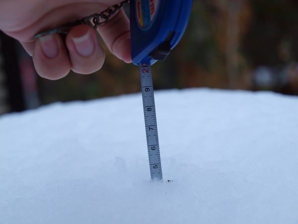 大雪の朝