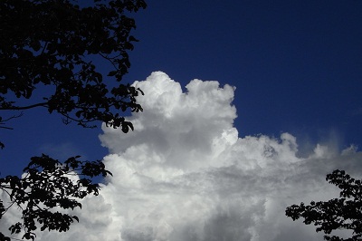 120818_2.jpg