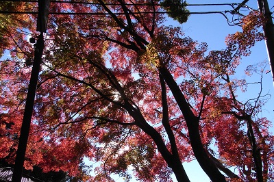 121127_07.jpg