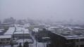 rps20130114_104128.jpg