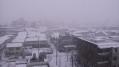 rps20130114_123935.jpg