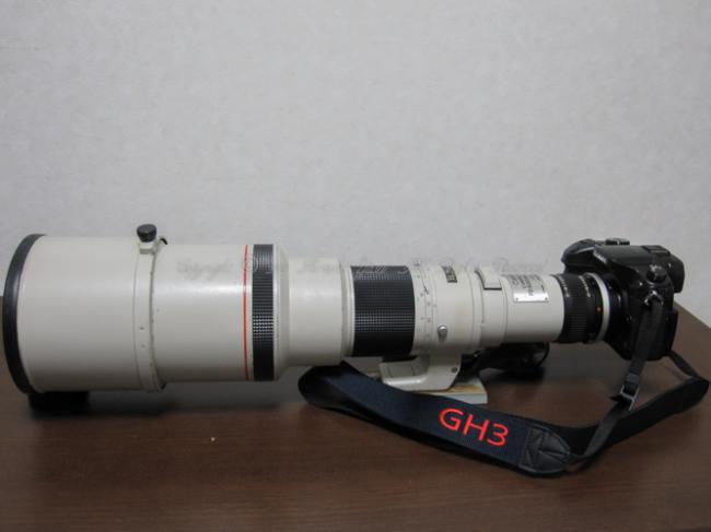 GH3-500mm130325-1892_convert_20130325213434.jpg
