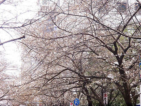 fc2yn_130318_2010.jpg