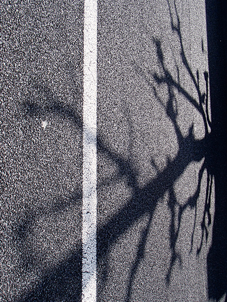 fc2yn_130319_2013.jpg