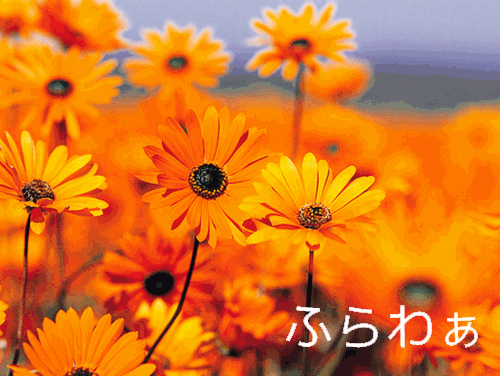 hiraganize000.gif