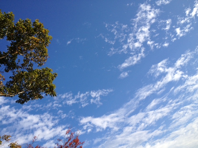 110514b.jpg