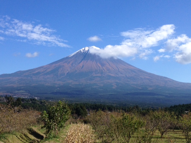 写真 1-17