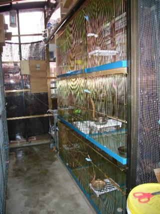 P1000271.jpg