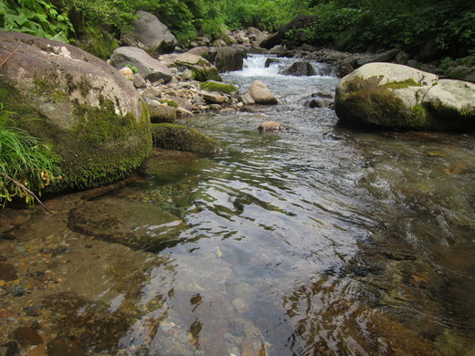 IMG_1859.jpg