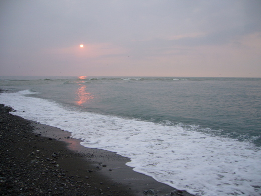 P1110023.jpg