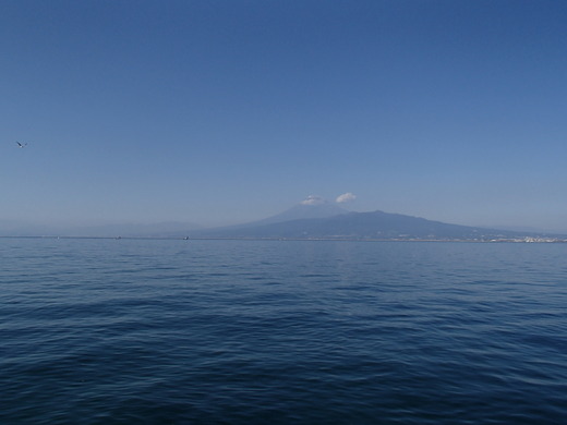 PA210034.jpg