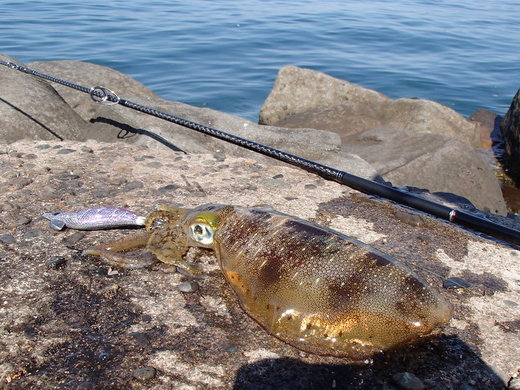 PA210036.jpg
