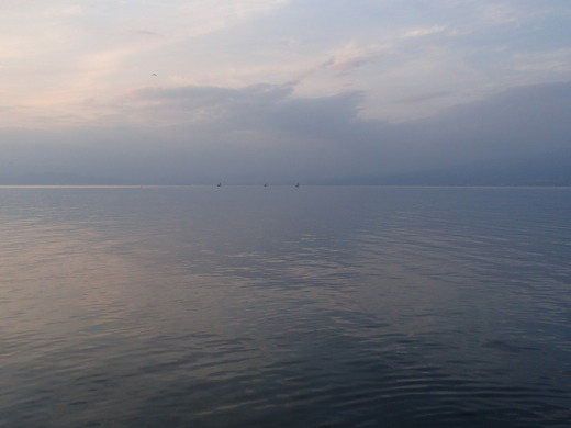 PA260035.jpg