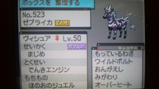 ★ゼブライカ♀・ヴィシュア