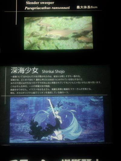 深海少女解説