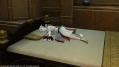 FFXIV_1340025018.jpg
