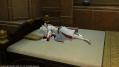 FFXIV_1340025023.jpg
