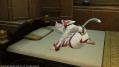 FFXIV_1340025027.jpg