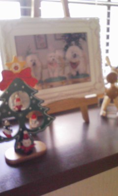 クリスマス。.:*:・'