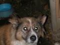 DSCN0199.jpg