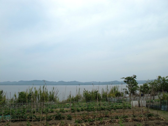 20120524-7.jpg