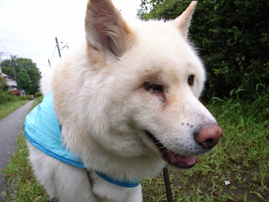 20120708-6.jpg