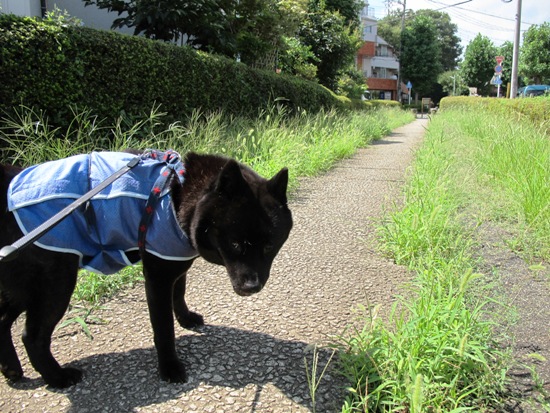 20120904-17.jpg