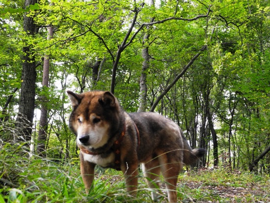 20121101-19.jpg