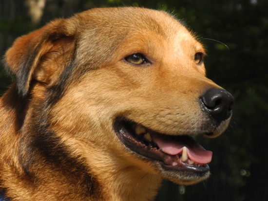 20121101-36.jpg