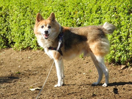 20121102-17.jpg