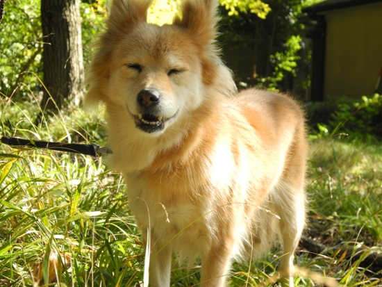 20121102-34.jpg