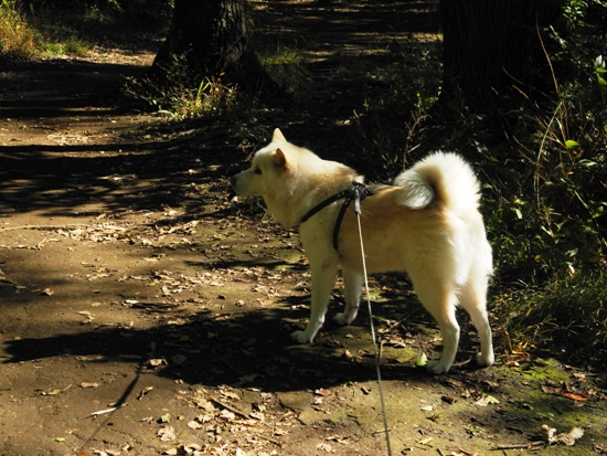 20121102-5.jpg